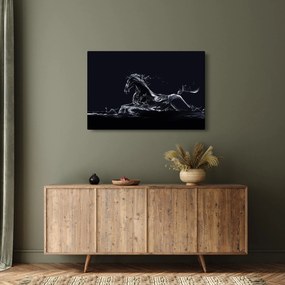Obraz - Kôň a voda (90x60 cm)