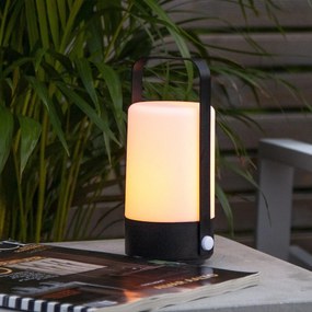 STAR TRADING Prenosný svietiaci LED lampáš Flame