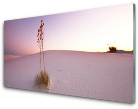 Sklenený obklad Do kuchyne Púšť písek krajina 125x50 cm