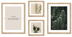 Obrazy v súprave 4 ks 32x42 cm – knor