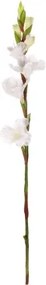 Umelá kvetina Gladiola 85 cm, biela%