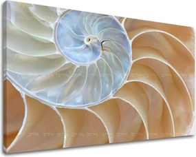 Obraz na stenu ABSTRAKT AB092E11