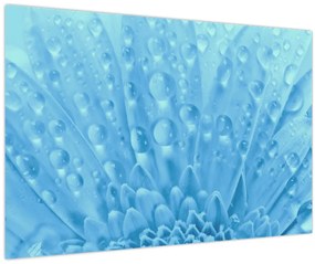 Obraz - Makro záber kvetu (90x60 cm)