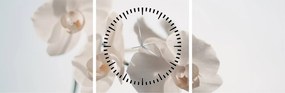 Obraz bielej orchidey (s hodinami) (90x30 cm)