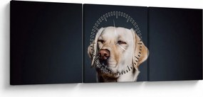 Obraz labradora (s hodinami) (90x30 cm)