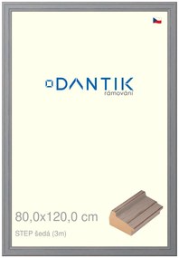 DANTIK rám na obraz 80x120 | STEP šedá (Plexi Čiré)