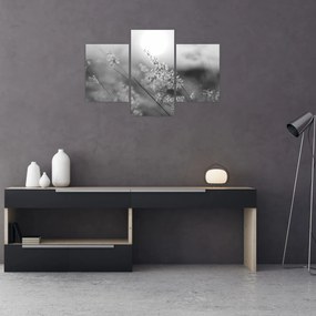 Obraz - Jesenná lúka (90x60 cm)