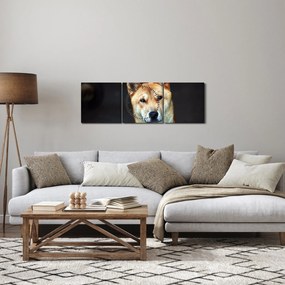 Obraz psa (s hodinami) (90x30 cm)