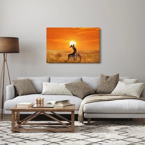Obraz - Žirafy v národnom parku Serengeti (90x60 cm)