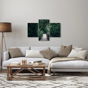 Obraz - Cesta lesom (90x60 cm)