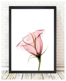 Obraz Tablo Center Bloom, 24 × 29 cm