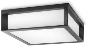Philips - Vonkajšie stropné svietidlo SKIES 2xE27/14W/230V IP44 antracit