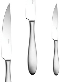 Steakový nôž s dutou rúčkou 24,5 cm - Turin - 103790