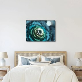 Obraz - Kvet v detaile (70x50 cm)