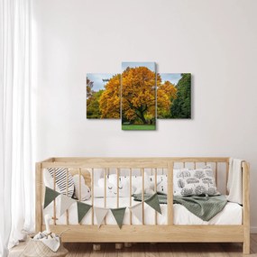 Obraz stromu (90x60 cm)