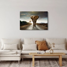 Obraz slona (90x60 cm)