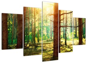 Moderný obraz - les