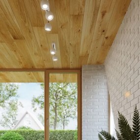 Sollux SL.0439 - Stropné bodové svietidlo OCULARE 3xGU10/10W/230V