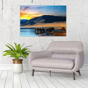 Obraz - Napájadlo (90x60 cm)