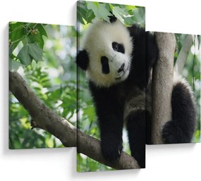 Obraz - Panda na strome (90x60 cm)