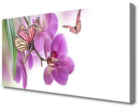 Obraz Canvas Motýle kvety príroda 140x70 cm
