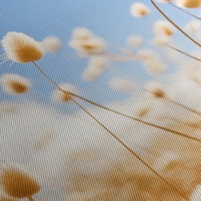 Obraz - Zlaté pole (120x50 cm)