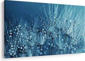Obraz - Kvapky rosy (90x60 cm)