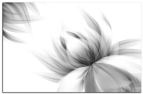 Obraz na plátne - Elegantný kvet 1147QA (100x70 cm)