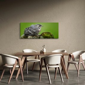Obraz - Muchárik (120x50 cm)