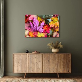 Obraz - jesenné listy (90x60 cm)