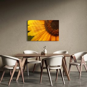 Obraz - Slnečnica (90x60 cm)