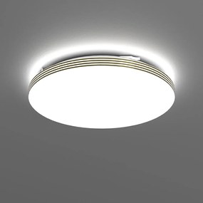 Stropné LED svietidlo Bever, 1x LED 16w, 4000k, g