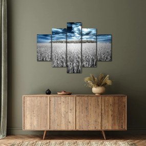 Obraz pole (150x105 cm)