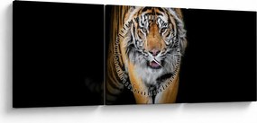 Obraz - Tiger (s hodinami) (90x30 cm)
