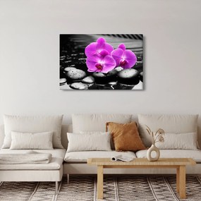 Obraz - Fialové orchidey (90x60 cm)