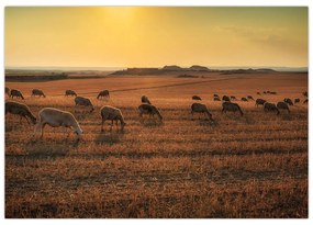 Obraz - panoráma krajiny na stenu