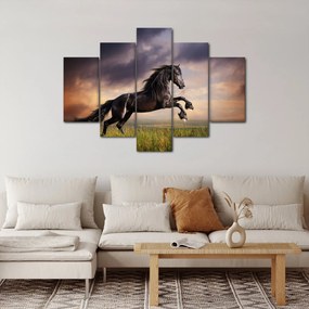 Obraz - Kone (150x105 cm)