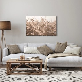 Obraz - Lúčny vánok (90x60 cm)