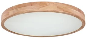 Globo 41745-48 - LED Stmievateľné stropné svietidlo RAINER LED/48W/230V + DO