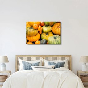 Obraz - Jesenná tekvica (90x60 cm)