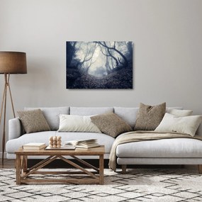 Sklenený obraz - Les v hmle (70x50 cm)