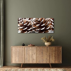 Obraz - Šišky (120x50 cm)