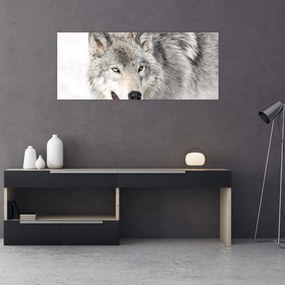 Obraz - Vlk v prírode (120x50 cm)