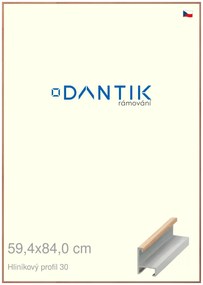 DANTIK rám na obraz 59,4x84 | ALU Dýha dub lak matný (Plexi Čiré)