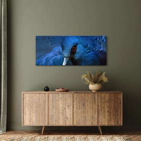 Obraz - Holub korunovaný (120x50 cm)