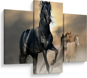 Obraz - Kone (90x60 cm)