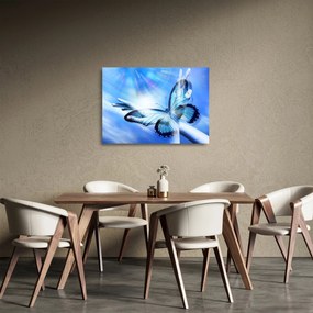 Sklenený obraz - Motýľ, symbol nádeje (70x50 cm)