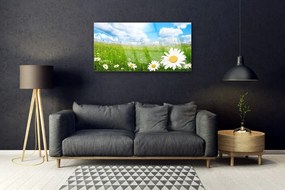 Obraz na skle Sedmokráska tráva príroda 120x60 cm