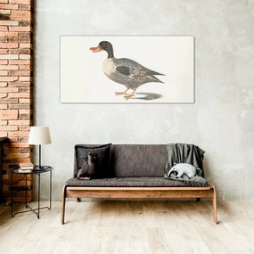 Obraz na skle Kreslenie vták kačica