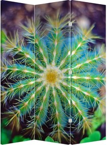 Paraván - Kaktus (126x170 cm)